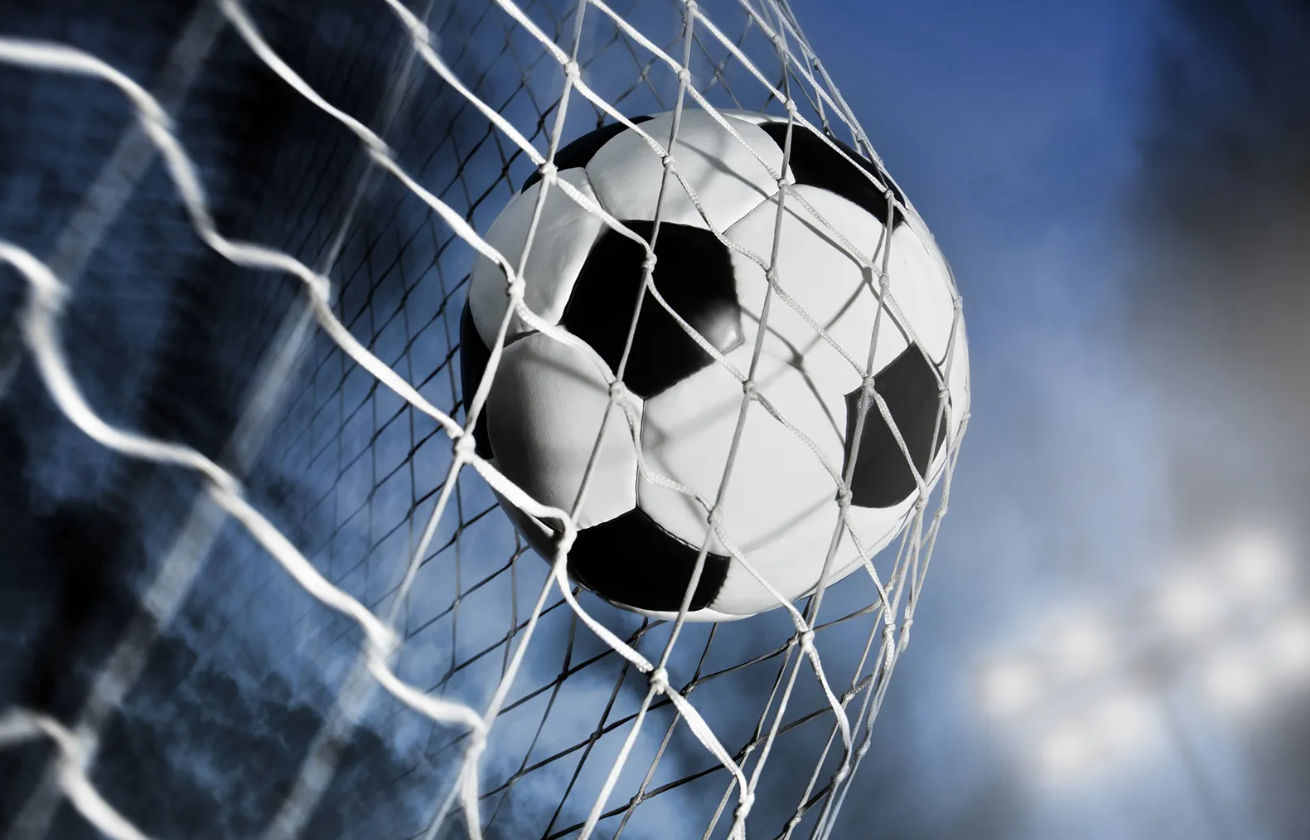 Soccer Ball in Goal Net